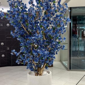 A062