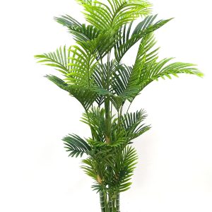 A039