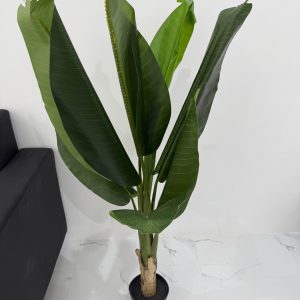 B063