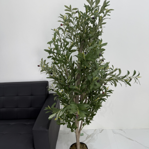 Olive Tree 165CM-GL00049