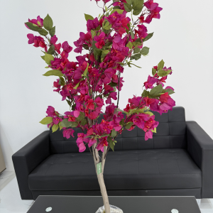 Bougainvillea 120CM-GL00028