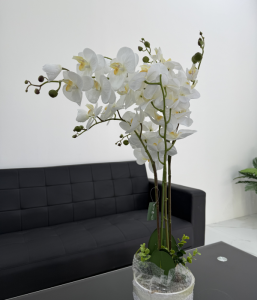 Orchid Bonsai-GL00202