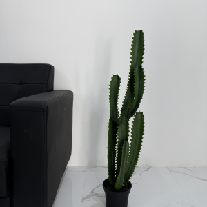 A084