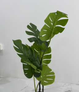 A087