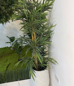 Bamboo 6FT-GL00037
