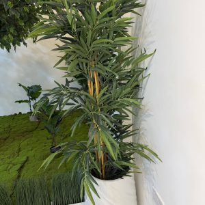 Bamboo 6FT-GL00037