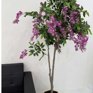 Wisteria 180CM-GL00022