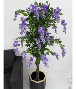 Wisteria 150CM-GL00018