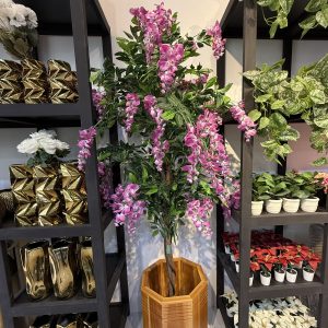 Wisteria 180CM-GL00019