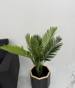 B060