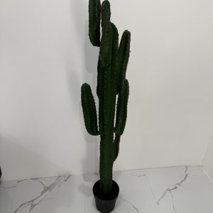 B062