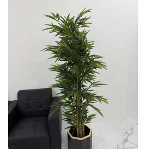 Bamboo 6FT-GL00037