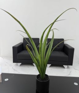 B066