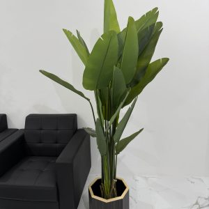 B068