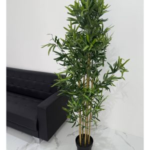 B069