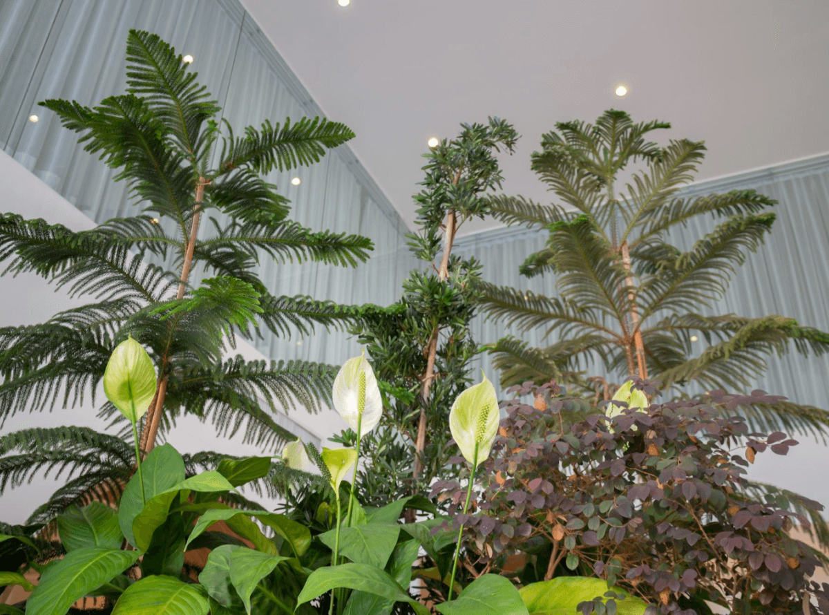 artificalplants