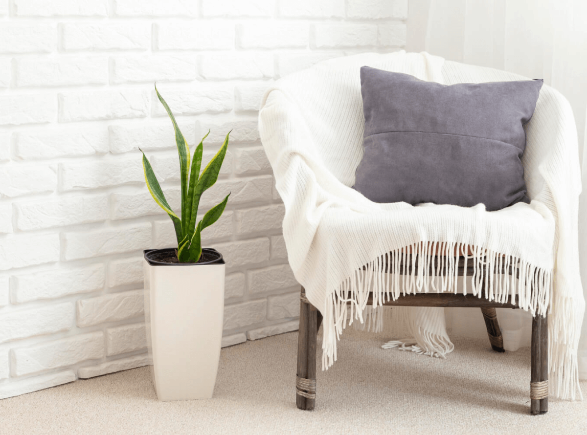 artificialplants